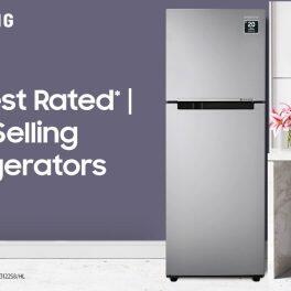 Samsung 236L Double Door Refrigerator (RT28C3021GS/HL, Grey Silver)