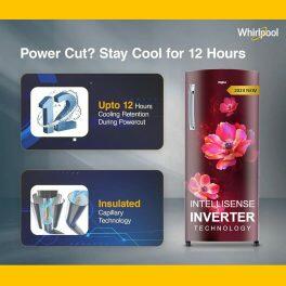 Whirlpool 215 IMPRO PRM 4S INV, 192L 4 Star Icemagic Pro Inverter Direct-Cool Single Door Refrigerator, 10 Years Warranty on Compressor, Wine Antelia