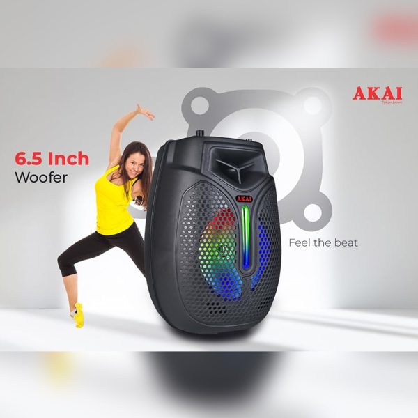 Akai PM20P, 20 Watts Portable Party Speaker with 4000 mAh Battery and Karoke Mic, Black