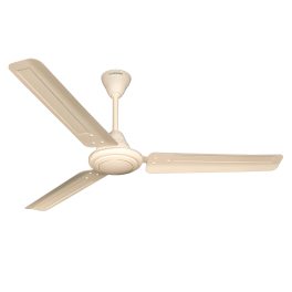 Crompton 1200MM (48 Inch) Ceiling fan with Anti Rust and High Velocity, Ivory, ARIYA BRIZ