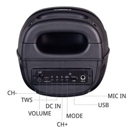 Akai PM20P, 20 Watts Portable Party Speaker with 4000 mAh Battery and Karoke Mic, Black