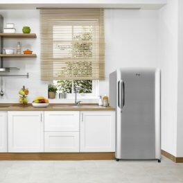 LG 185L Single Door Refrigerator (GL-B201APZD, Shiny Steel)