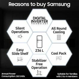 Samsung 236L Double Door Refrigerator (RT28C3021GS/HL, Grey Silver)