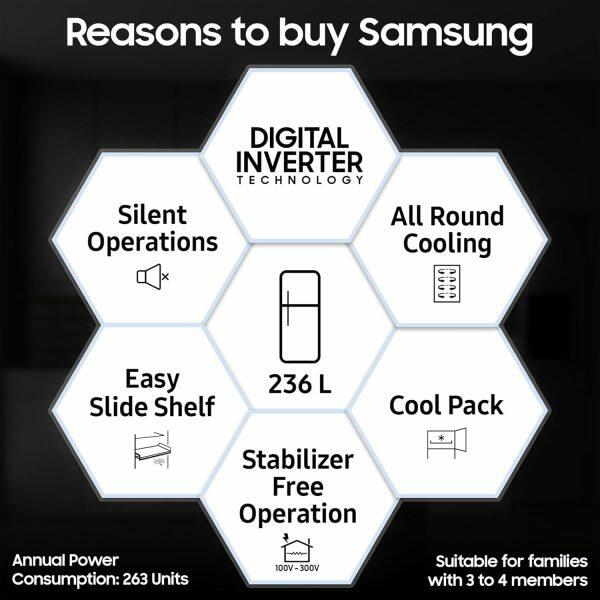 Samsung 236L Double Door Refrigerator (RT28C3021GS/HL, Grey Silver)