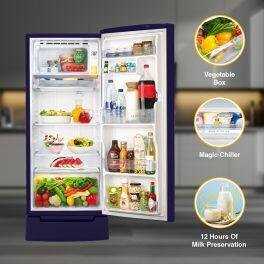 Whirlpool 215 Impro Roy, 192 Litre 4 Star Single Door Refrigerator with Inverter Compressor and Base Drawer, Saphire Antelia