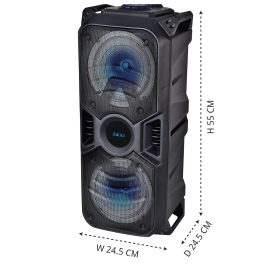 AKAI 50W Party Speaker (PM-50P, Black)