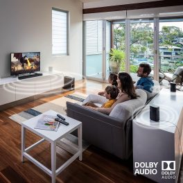 Sony 400 Watt, 5.1 Channel Home Theatre, Black, HT-S20R