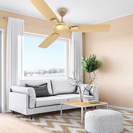 Crompton-HIGHSPEED-TORO-ANTIDUST-1200-mm-48-inch-Ceiling-Fan-BIRKEN-EFFECT-1-Star-0