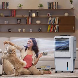 Symphony 27 Liter Personal Air Cooler with Honeycomb Pad and Powerful Fan, Grey, HIFLO 27