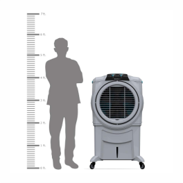 Symphony Sumo 115 XL Powerful Desert Air Cooler 115 litres (ACODE281)Dynamic Distributors