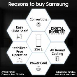 Samsung 256L 3Star Double Door Refrigerator (RT30C3733S8 ,Elegant Inox)