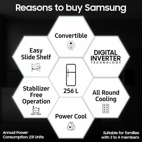 Samsung 256L 3Star Double Door Refrigerator (RT30C3733S8 ,Elegant Inox)