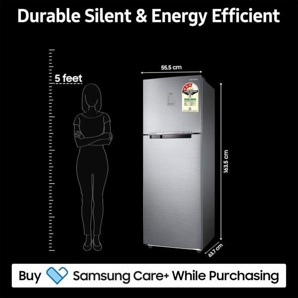 Samsung 256L 3Star Double Door Refrigerator (RT30C3733S8 ,Elegant Inox)
