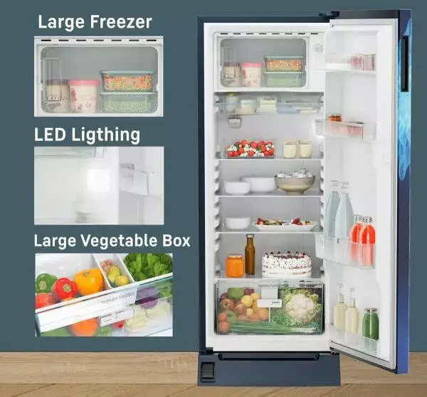 Liebherr DFPIME 2221, 222L 5 Star Inverter, Direct Cool Single Door Refrigerator, 20 Years Warranty on Compressor, Freezer 22 L, Blue Mystic