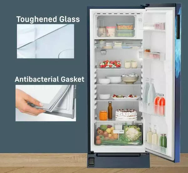 Liebherr DFPLMC 2021, 202L 3 Star Inverter, Direct Cool Single Door Refrigerator, 20 Years Warranty on Compressor, Freezer 22 L, Blue Mystic