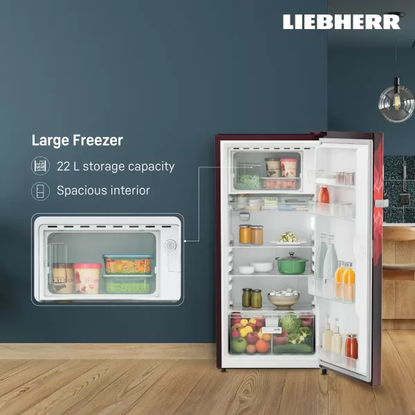 Liebherr DNBRMC 1911 Pure Single-door refrigerator 191 l in 3 star with iCoolTouch UI, Red Majestic
