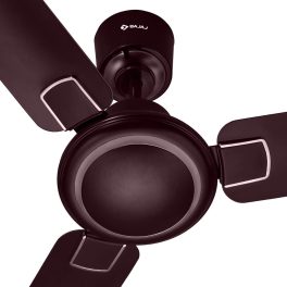 Bajaj Regal Gold NXG EE 1200MM, 48 Inch Ceiling Fan with strong 14 Pole Motor, 3 Star Rating and 340 High RPM, Wine Red