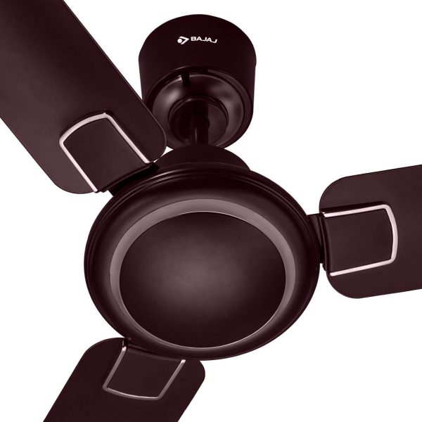 Bajaj Regal Gold NXG EE 1200MM, 48 Inch Ceiling Fan with strong 14 Pole Motor, 3 Star Rating and 340 High RPM, Wine Red