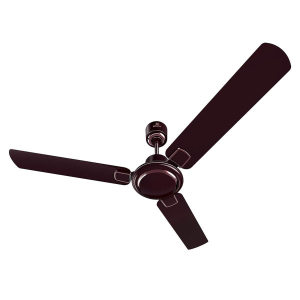 Bajaj Regal Gold NXG EE 1200MM, 48 Inch Ceiling Fan with strong 14 Pole Motor, 3 Star Rating and 340 High RPM, Wine Red