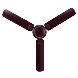 Bajaj Regal Gold NXG EE 1200MM, 48 Inch Ceiling Fan with strong 14 Pole Motor, 3 Star Rating and 340 High RPM, Wine Red