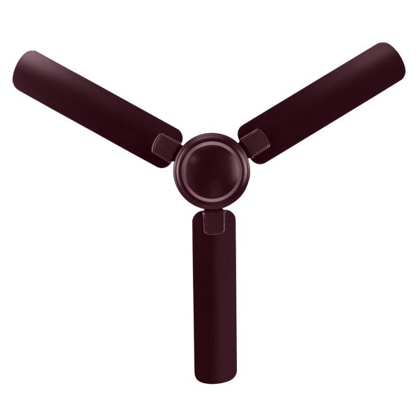 Bajaj Regal Gold NXG EE 1200MM, 48 Inch Ceiling Fan with strong 14 Pole Motor, 3 Star Rating and 340 High RPM, Wine Red