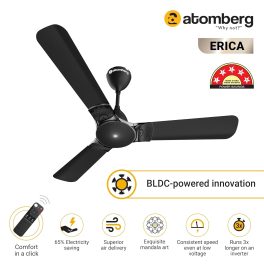 Atomberg Erica 1200, 48 Inch BLDC Ceiling Fan with Remote and Award Winning Design, Midnight Black
