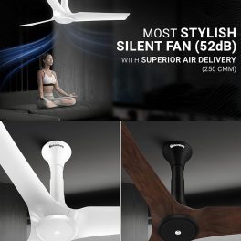 Atomberg 1200MM Ceiling Fan (Aris) Dark Teakwood