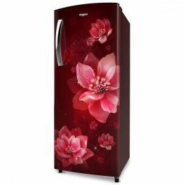 Whirlpool 230 IMPRO PRM, 207 L 3 Star Icemagic Pro Inverter Direct-Cool Single Door Refrigerator, Wine Mulia