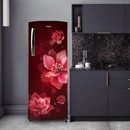 Whirlpool 230 IMPRO PRM, 207 L 3 Star Icemagic Pro Inverter Direct-Cool Single Door Refrigerator, Wine Mulia