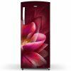 Whirlpool 215 IMPRO PRM, 192 L 3 Star Icemagic Pro Inverter Direct-Cool Single Door Refrigerator, 10 Years Warranty on Compressor, Wine Forest
