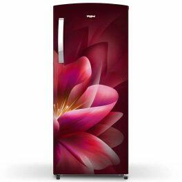 Whirlpool 215 IMPRO PRM, 192 L 3 Star Icemagic Pro Inverter Direct-Cool Single Door Refrigerator, 10 Years Warranty on Compressor, Wine Forest