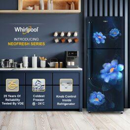 Whirlpool NEOSP278PRM, 235L 2 Star Double Door Refrigerator, 10 Years Warranty on Compressor, Sapphire Peony