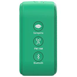 Saregama Carvaan Mini Hindi 2.0, Forest-Green