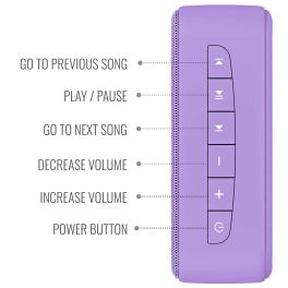 Saregama Carvaan Hindi Mini 2.0, Orchid-Purple