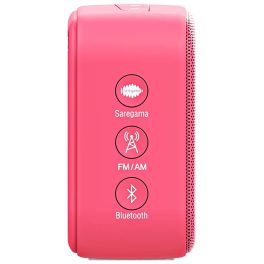 Saregama Carvaan Hindi Mini 2.0, Coral-Pink