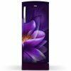 Whirlpool 215 IMPRO ROY, 192 L 3 Star Icemagic Pro Inverter Direct-Cool Single Door Refrigerator, With Base Drawer, Purple Forest
