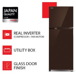 Toshiba GR-AG36INXB, 305L 2Star Double Door Refrigerator, Brown