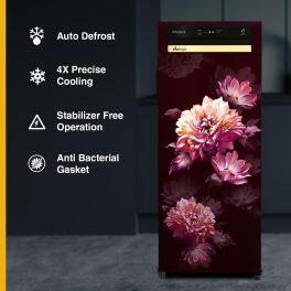 Whirlpool 215 VMPRO PRM 3S, 192 L 3 Star Auto-Defrost Inverter Vitamagic Pro Direct-Cool Single Door Refrigerator, 10 Years Warranty on Compressor, Wine Dafne