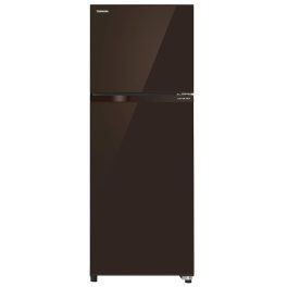 Toshiba GR-AG36INXB, 305L 2Star Double Door Refrigerator, Brown