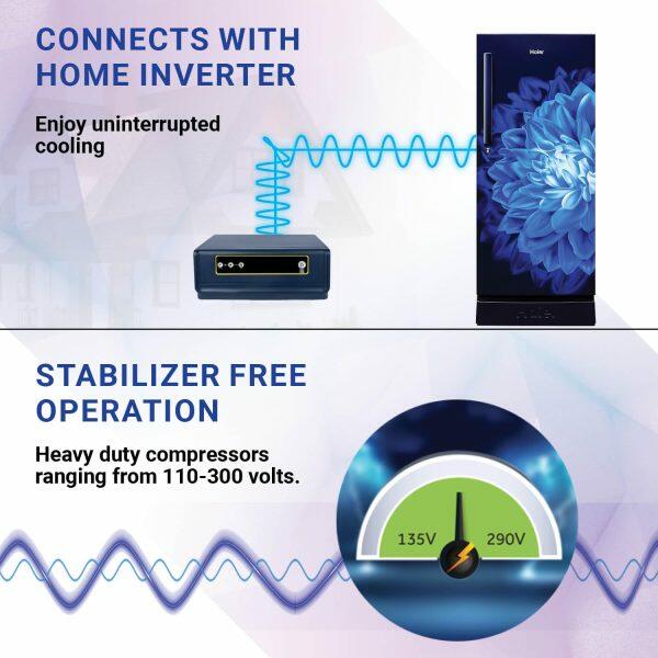 Haier HRD-2353PMD, 215 Litre 3 Star Single Door Refrigerator with Base Drawer and 1 Hour Icing Technology, Marine Dahelia