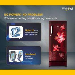 Whirlpool 215 IMPC ROY, 192L 3 Star Single Door Refrigerator, With Base Drawer, 10 Years Warranty on Compressor, Wine Flower Rain