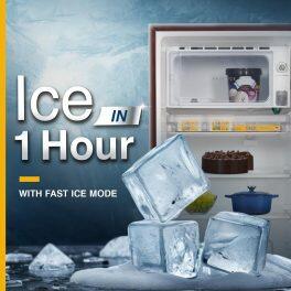 Whirlpool 230 IMPRO PRM, 207 L 3 Star Icemagic Pro Inverter Direct-Cool Single Door Refrigerator, Wine Mulia