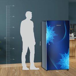 Liebherr DNPIME 1911, 191L 5 Star Inverter, Direct Cool Single Door Refrigerator, 20 Years Warranty on Compressor, Freezer 22 L, Blue Mystic