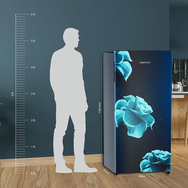 Liebherr DNPiDC 1901 Pure Single-door refrigerator 191 l in 3 star with iCoolTouch UI, Red Majestic, Blue Divine