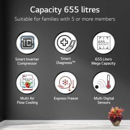 LG 650L Side by Side Refrigerator (GL-B257DBM3, Black Mirror)