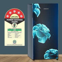 Liebherr DNPiDC 1901 Pure Single-door refrigerator 191 l in 3 star with iCoolTouch UI, Red Majestic, Blue Divine