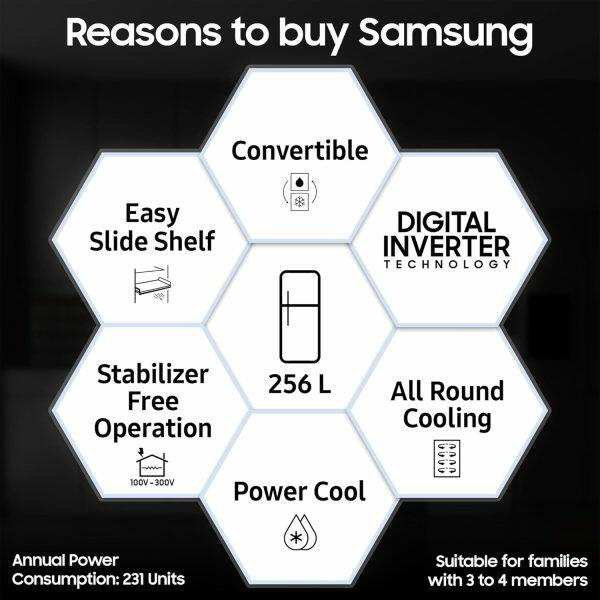 Samsung 256L 3 Star Double Door Refrigerator (RT30C3733BX, Luxe Black)