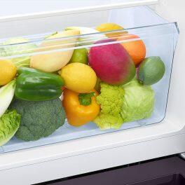 Samsung 215L 5Star Single Door Refrigerator (RR23D2H259R, Paradise Purple)