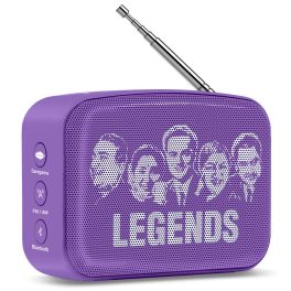 Saregama Carvaan Hindi Mini 2.0, Orchid-Purple