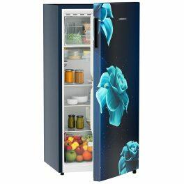 Liebherr DNPiDC 1901 Pure Single-door refrigerator 191 l in 3 star with iCoolTouch UI, Red Majestic, Blue Divine